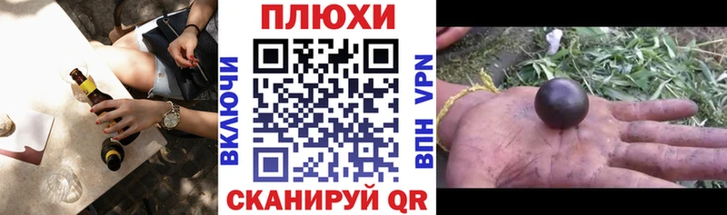 ГАШ гарик  Валдай 